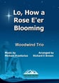 Lo, How a Rose E'er Blooming P.O.D. cover
